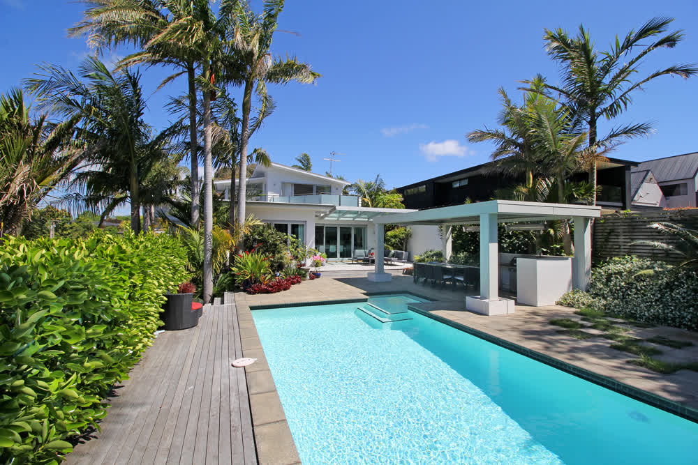 Palm trees and planting around modern decked pool area
